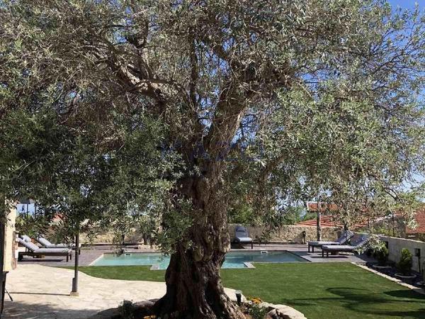 4 bedroom semi detached house for sale pachna limassol 7784093 image 14506903