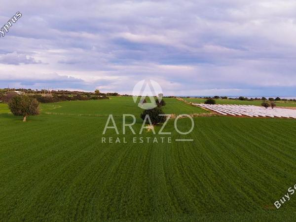 land for sale agios theodoros larnacas larnaca 8081093 image 13091619