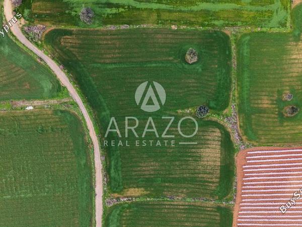 land for sale agios theodoros larnacas larnaca 8081093 image 13091621