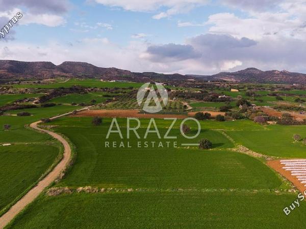 land for sale agios theodoros larnacas larnaca 8081093 image 13091622