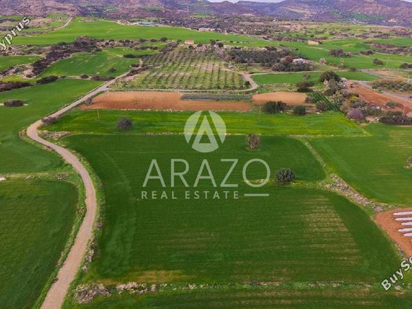 land for sale agios theodoros larnacas larnaca 8081093 image 13091623
