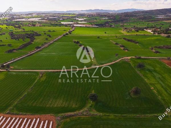 land for sale agios theodoros larnacas larnaca 8081093 image 13091624