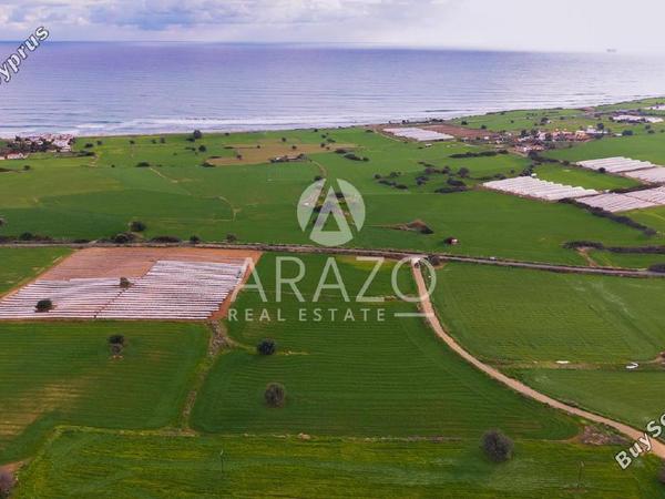 land for sale agios theodoros larnacas larnaca 8081093 image 13091626