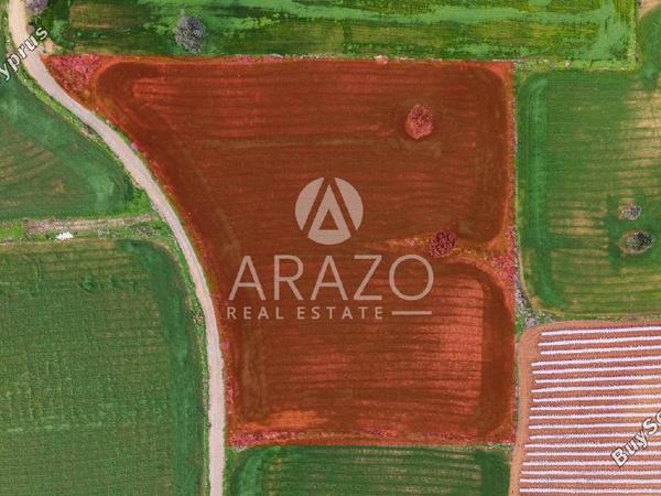 land for sale agios theodoros larnacas larnaca 8081093 image 13091629