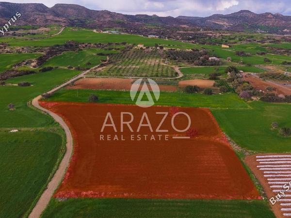 land for sale agios theodoros larnacas larnaca 8081093 image 13091631