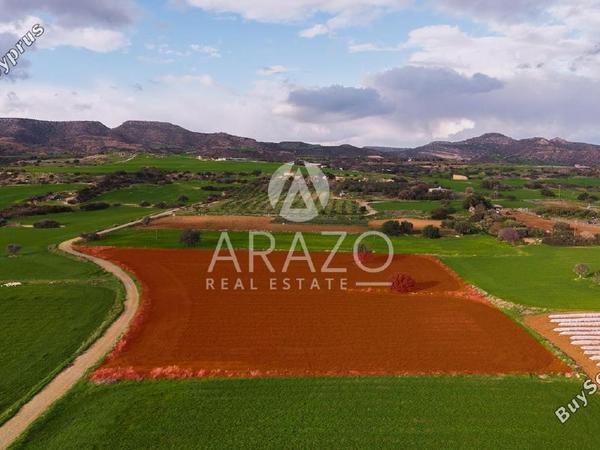 land for sale agios theodoros larnacas larnaca 8081093 image 13091633