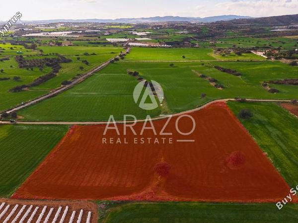 land for sale agios theodoros larnacas larnaca 8081093 image 13091635