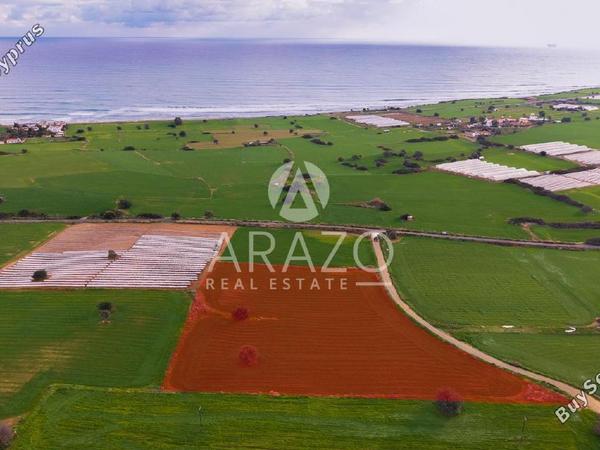 land for sale agios theodoros larnacas larnaca 8081093 image 13091638