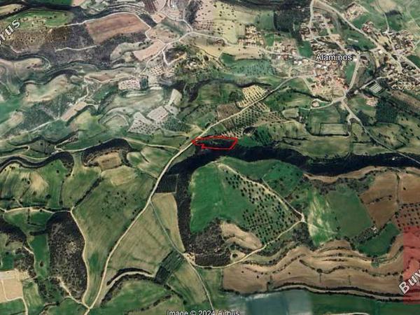 land for sale alaminos larnaca 1589093 image 13973056