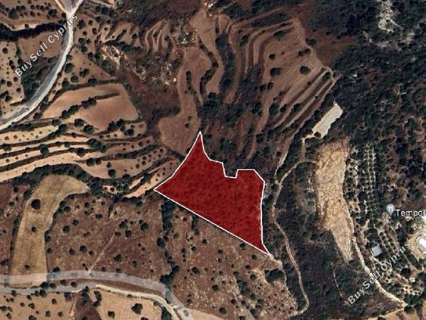 land for sale koili paphos 823093 image 16008932