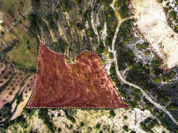 land for sale koili paphos 823093 image 16008934
