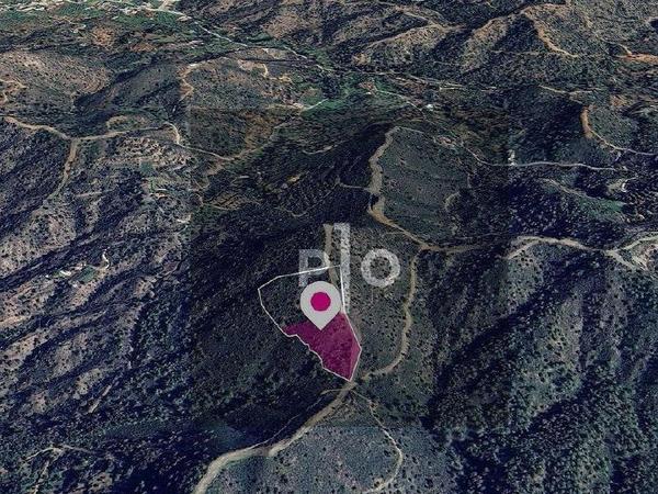 land for sale lythrodontas nicosia 8275093 image 15157452