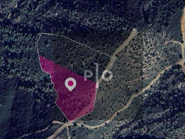 land for sale lythrodontas nicosia 8275093 image 15157457