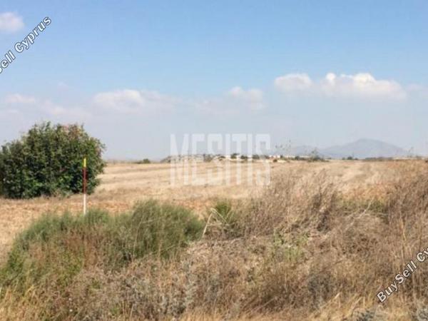 plot for sale alaminos larnaca 1848093 image 10524215