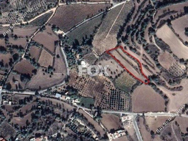 plot for sale fyti paphos 1159093 image 5517431