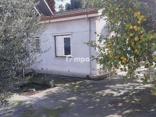 1 bedroom detached house for sale kaimakli nicosia 1728193 image 7016985