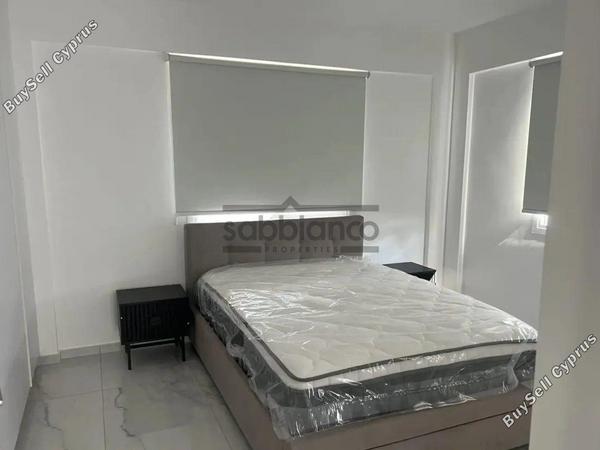 3 bedroom apartment for rent lykavitos nicosia 8749193 image 16524471