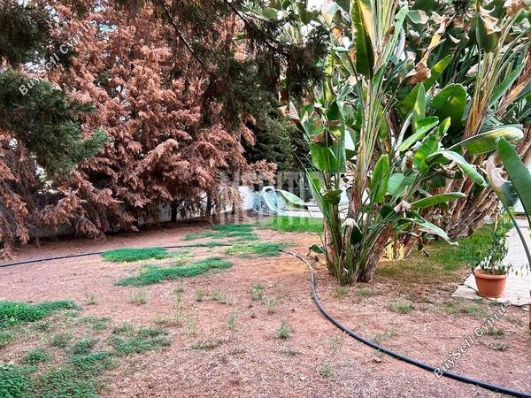 3 bedroom detached house for sale pano lakatamia nicosia 1224193 image 10493374