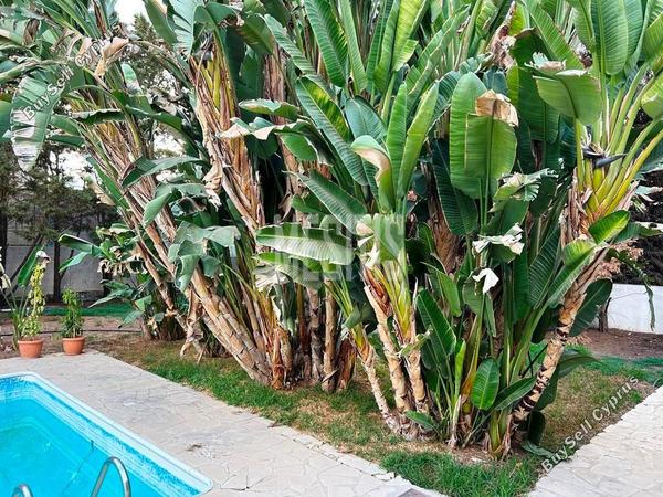 3 bedroom detached house for sale pano lakatamia nicosia 1224193 image 10493375