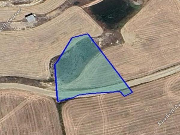land for sale dali nicosia 1547193 image 5883682