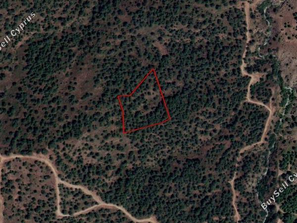 land for sale kapedes nicosia 830193 image 15664212