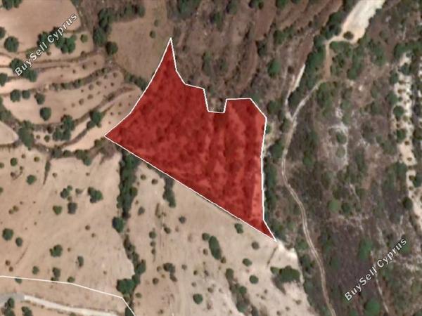 plot for sale koili paphos 1804193 image 16984782