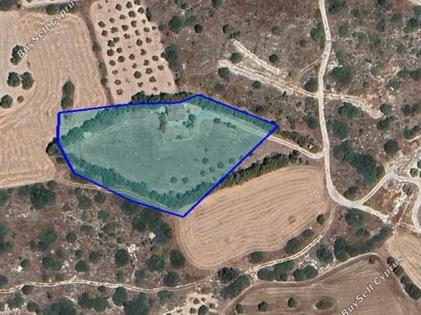 land for sale pentakomo limassol 1547293 image 5884439