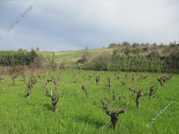 land for sale theletra paphos 945293 image 846978