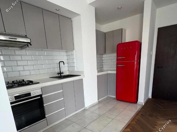 1 bedroom apartment for rent potamos germasogeias limassol 8676393 image 16455371