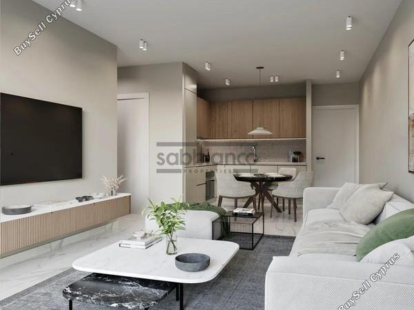 1 bedroom apartment for sale oroklini larnaca 8737393 image 16354647