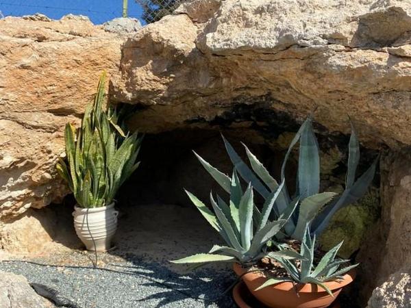 3 bedroom detached house for sale paphos municipality paphos 7452493 image 12364710