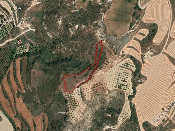 land for sale choli paphos 930493 image 15177655