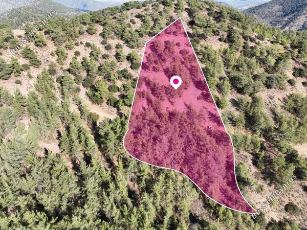 land for sale gerakies nicosia 8628493 image 15862406