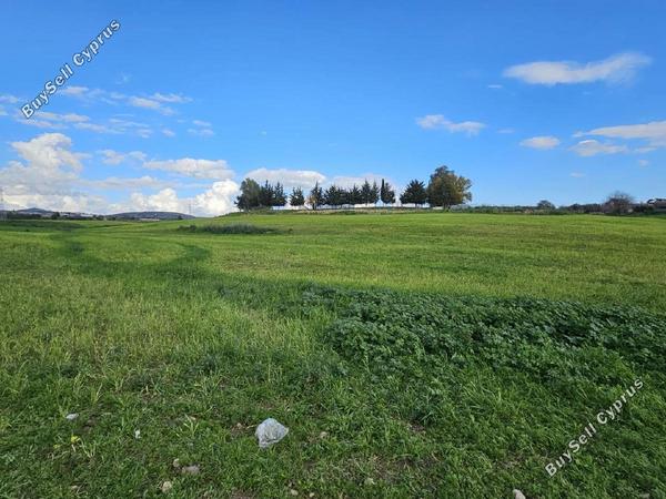 land for sale timi paphos 1716493 image 4979096
