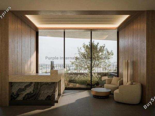 studio office for sale petrou kai pavlou limassol 8798493 image 16716324