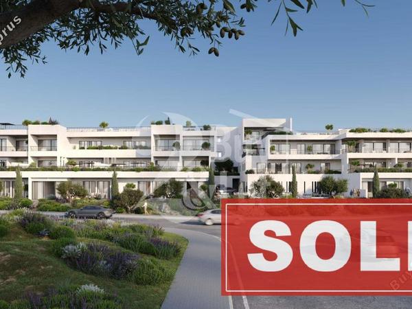 2 bedroom apartment sold kissonerga paphos 8681593 image 16224721