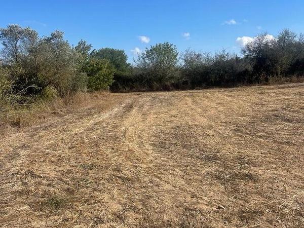 land sold kathikas paphos 1204593 image 1803392