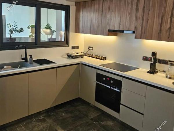 3 bedroom apartment for rent mesa gitonia limassol 1675693 image 14531279