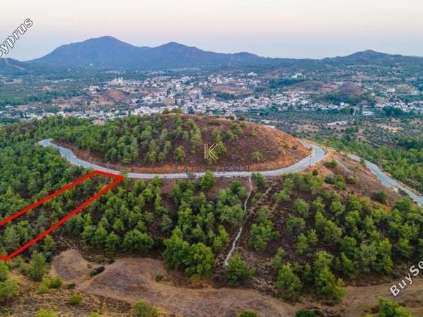 land for sale kornos larnaca 1194693 image 5569337