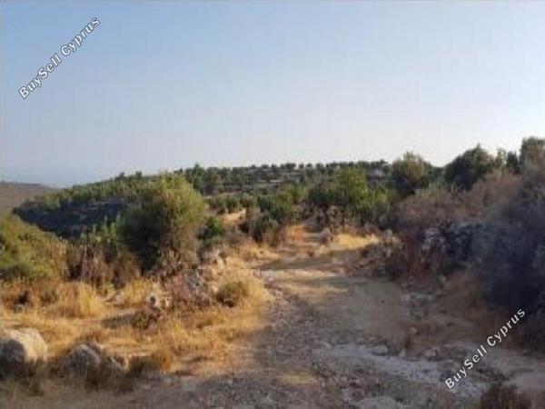 land for sale pachna limassol 8785693 image 16656410