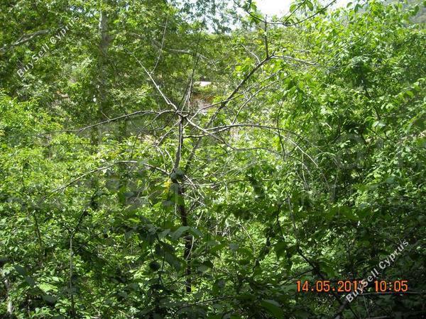 1 bedroom detached house for sale milikouri nicosia 7870793 image 11379329
