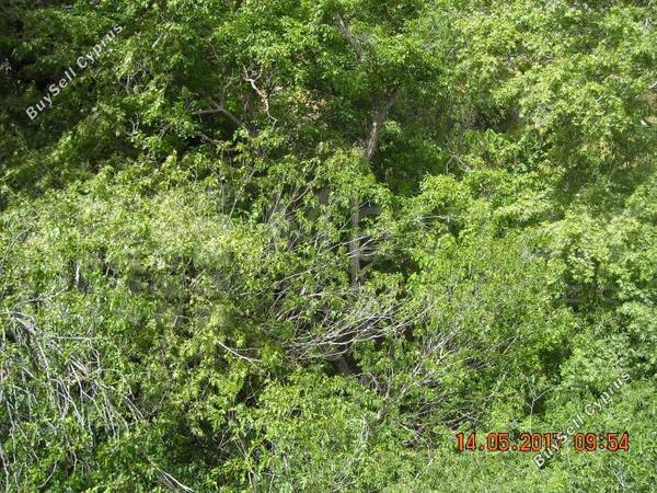 1 bedroom detached house for sale milikouri nicosia 7870793 image 11379338