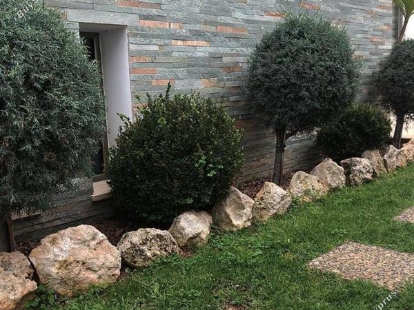 3 bedroom detached house for sale agrokipia nicosia 1896793 image 7209039