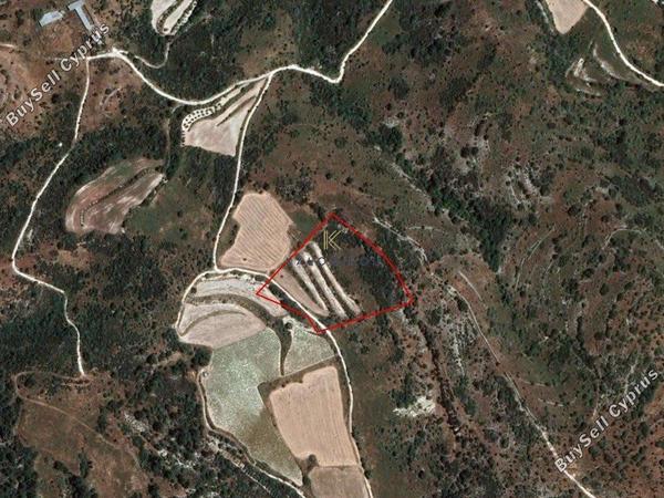 land for sale dora limassol 1194793 image 5570673