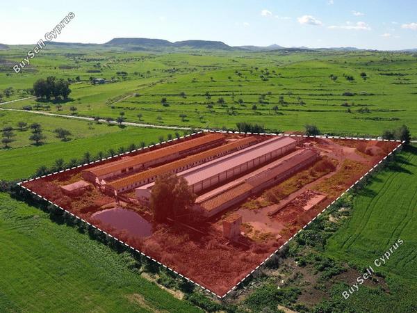 studio industrial building for sale petrofani larnaca 8797793 image 16704619