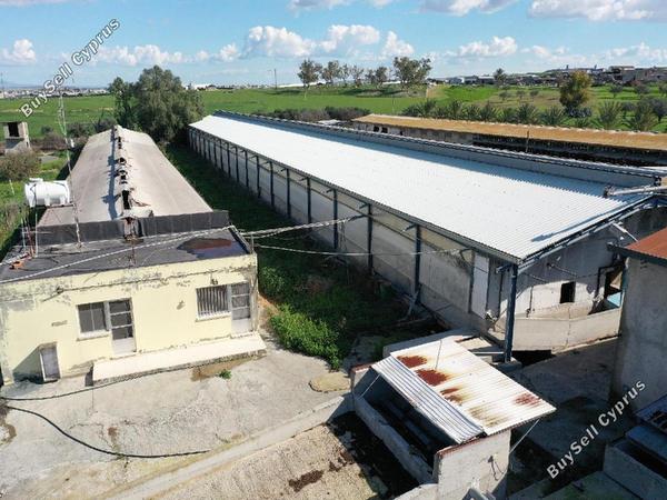 studio industrial building for sale petrofani larnaca 8797793 image 16704621