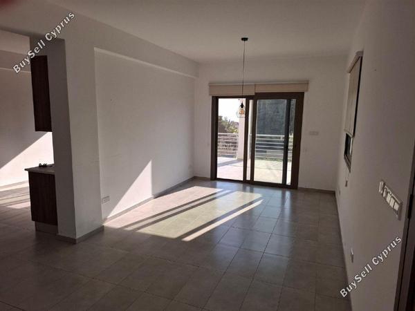 4 bedroom bungalow for rent tala paphos 1908893 image 7361942