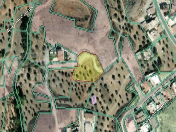 land for sale kornos larnaca 7870893 image 11380020
