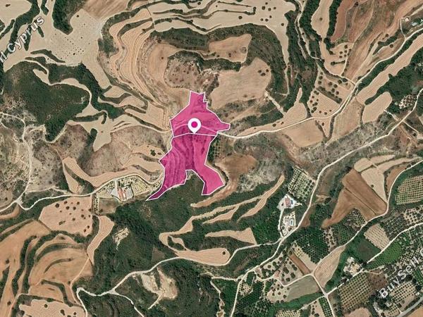 land for sale skoulli paphos 8565893 image 15620707