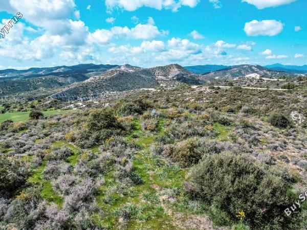 land for sale tochni larnaca 1314893 image 5639353